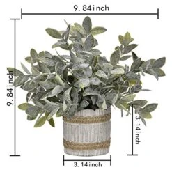 MARTINE MALL Small Potted Artificial Plants Plastic Eucalyptus Pot Plant Fake Plants In Pots Faux Greenery Topiary Shrubs Potted Plants With Vase Plastic Potted Desk Plant For Office Table Home Decor -Organic Plant Shop 51kOOCc6YPL