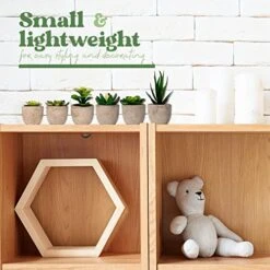 Sophia's Garden Small Artificial Succulents Plants Artificial Potted Fake Plant Decor Bedroom (6 Piece Faux Succulents In Pots 2.3") Fake Succulent Decor Fake Succulents Mini Succulents Desk Office -Organic Plant Shop 51kqxj3Dh1L