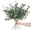 Miracliy 6 PCS Artificial Eucalyptus Leaves Greenery Stems Faux Silk Silver Dollar Eucalyptus Leaf Branches Green Bulk For Home Party Wedding Decoration