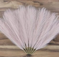 Efolki 7 PCS Artificial Faux Pampas Grass Farmhouse Boho Decor 17" Small-tall Pompous Grass,bedroom Living Room Decor,kitchen Home Office Decor, Vase Filler Fake Grass Flowers Plants,fall Spring Decor -Organic Plant Shop 51lNpzqyYeL. AC