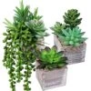 Set Of 3 Small Potted Succulents Plants Decoration Assorted Green Fake Succulents Plants In Rustic Wooden Pots For Home Living Room Bathroom Table Shelf Centerpiece Windowsill Office Desk Indoor Decor