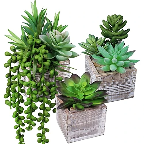 Set Of 3 Small Potted Succulents Plants Decoration Assorted Green Fake Succulents Plants In Rustic Wooden Pots For Home Living Room Bathroom Table Shelf Centerpiece Windowsill Office Desk Indoor Decor 1 Set Of 3 Small Potted Succulents Plants Decoration Assorted Green Fake Succulents Plants In Rustic Wooden Pots For Home Living Room Bathroom Table Shelf Centerpiece Windowsill Office Desk Indoor Decor
