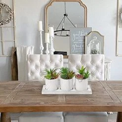 Briful Succulents Plants Artificial In Marble Pot Set Of 3 Small Fake Succulents Plants Faux Succulents With Wood Tray For Table Shelf Office Home Decorations 13 Briful Succulents Plants Artificial In Marble Pot Set Of 3 Small Fake Succulents Plants Faux Succulents With Wood Tray For Table Shelf Office Home Decorations -Organic Plant Shop 51m2OIRO8kS