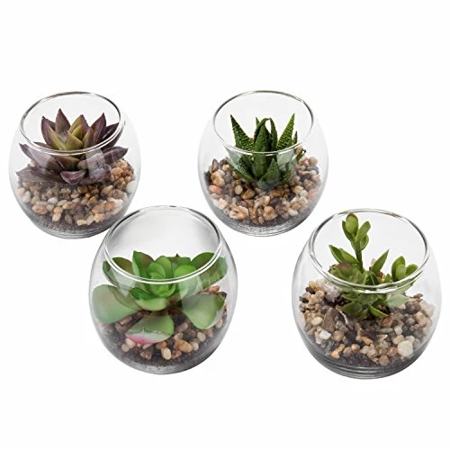 MyGift Assorted Artificial Succulent Fake Plant In Small Clear Glass Display Vases, Set Of 4 1 MyGift Assorted Artificial Succulent Fake Plant In Small Clear Glass Display Vases, Set Of 4