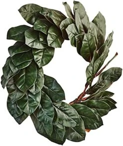 Nearly Natural Magnolia Leaf Wreath, 24", Green -Organic Plant Shop 51mxUYqb8AL. AC