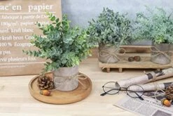 JC Nateva Small Fake Plants Mini Potted Artificial Plants Indoor For Home Office Farmhouse Kitchen Bathroom Table Decor 10 JC Nateva Small Fake Plants Mini Potted Artificial Plants Indoor For Home Office Farmhouse Kitchen Bathroom Table Decor -Organic Plant Shop 51n0ZiNUcvL