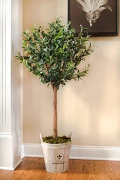 Nearly Natural 5960 4.5' Olive Topiary Tree With European Barrel Planter -Organic Plant Shop 51nDvMkLzfL
