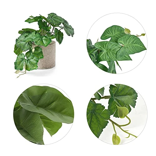 Mkono Faux Plants Indoor Small Fake Potted Rustic Artificial Plants For Home Decor 3 Pack Broad Leaved Faux Greenery With Gray Pot For Shelf Desk Farmhouse Bathroom Decor Coffee Table Centerpiece 2 Mkono Faux Plants Indoor Small Fake Potted Rustic Artificial Plants For Home Decor 3 Pack Broad Leaved Faux Greenery With Gray Pot For Shelf Desk Farmhouse Bathroom Decor Coffee Table Centerpiece - Image 2