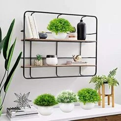 Summer Flower 5 Pack Mini Artificial Plants In Ceramics Pots For Bathroom Home Decor Indoor, 2 Fake Mini Plant Green Boxwood Potted,3 Grass Faux Plant In White Pot For Bookshelf Farmhouse Decorations -Organic Plant Shop 51o3aRnzmdL