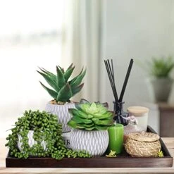 Set Of 3 Small Potted Succulent Plants Artificial Hanging Succulent Aloe In Gray Concrete Ceramic Pots With Geometry Textured For Party Favor Gift Windowsill Table Shelf Indoor Outdoor Greenery Decor -Organic Plant Shop 51oBWZMeTUL