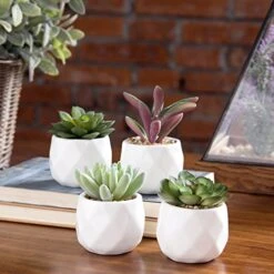 MyGift Miniature Artificial Succulents, Indoor Fake House Plants In Round White Geometric Ceramic Pots, Set Of 4 -Organic Plant Shop 51oCbCfdwaL