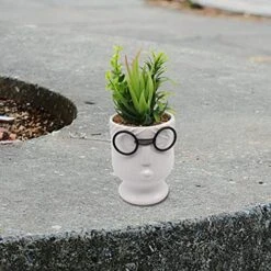 ALIWINER Artificial Succulents Plants With Ceramic Pot Decor Figurines Living Room Decor Home Decoration -Organic Plant Shop 51oVhcmWiIL