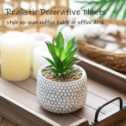 CADNLY Small Artificial Plants In Pots - Fake Plants For Bathroom Office Desk - Faux Succulents Plants Artificial Succulents Decor - Faux Plants Indoor Small Plants Shelf Decor Green Potted Plant -Organic Plant Shop 51ozXHMrFUL