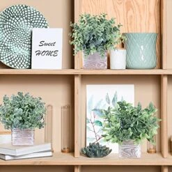 Winlyn Set Of 3 Small Potted Plants Artificial Eucalyptus In Wood Box Faux Eucalyptus In Pots Desk Plants Greenery Centerpiece Table Decorations For Farmhouse Kitchen Windowsill Shelf Entryway Decor 9 Winlyn Set Of 3 Small Potted Plants Artificial Eucalyptus In Wood Box Faux Eucalyptus In Pots Desk Plants Greenery Centerpiece Table Decorations For Farmhouse Kitchen Windowsill Shelf Entryway Decor -Organic Plant Shop 51poBZRbKIL