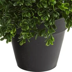 Nearly Natural Mini 10in. Boxwood Topiary Artificial Plant UV Resistant (Indoor/Outdoor), Green -Organic Plant Shop 51prQxr4qbL