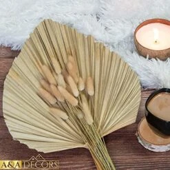 GENERIC Dried Palm Leaves - 3 Pcs Stunning Dried Palm Leaf And 15Pcs Bunny Tails Dried Flowers | Gorgeously Thick Dried Palm Leaves Decor And Bunny Tail For Wedding, Home And Boho Decor | 18 Inch -Organic Plant Shop 51q2vOo1tQL