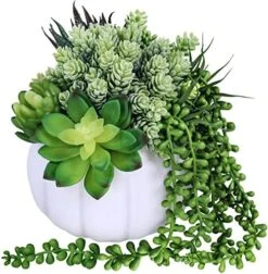 White Fall Pumpkin Centerpiece Artificial Succulent Pumpkin Arrangement With Assorted String Of Pearls Succulents For Fall Thanksgiving Gifts Home Wedding Table Mantel Windowsill Shelf Decor -Organic Plant Shop 51qAJsaMVEL. AC