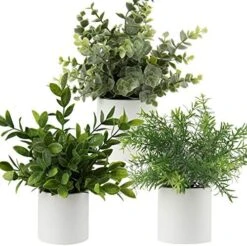 Briful Mini Fake Plants Set Of 2 Small Faux Plant Eucalyptus Rosemary Greenery Potted Plants Artificial Decor For Home Table Office Room Desk Bathroom Shelf Kitchen Farmhouse Mantel Decoration -Organic Plant Shop 51qImqhabyL. AC