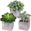 Set Of 3 Assorted Small Potted Succulents Plants Decorations Green Fake Succulents Cacti In Rustic Wooden Pots For Home Living Room Bathroom Table Centerpiece Windowsill Shelf Office Desk Indoor Decor