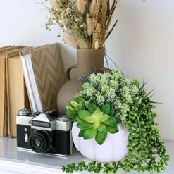 White Fall Pumpkin Centerpiece Artificial Succulent Pumpkin Arrangement With Assorted String Of Pearls Succulents For Fall Thanksgiving Gifts Home Wedding Table Mantel Windowsill Shelf Decor -Organic Plant Shop 51r7mOAzkVL