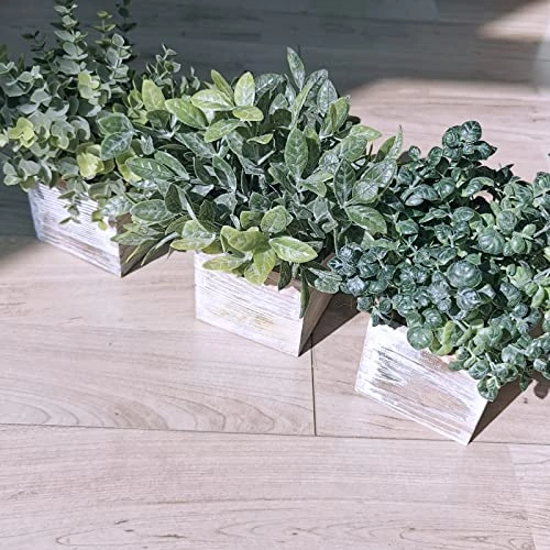 Winlyn Set Of 3 Small Potted Plants Artificial Eucalyptus In Wood Box Faux Eucalyptus In Pots Desk Plants Greenery Centerpiece Table Decorations For Farmhouse Kitchen Windowsill Shelf Entryway Decor 3 Winlyn Set Of 3 Small Potted Plants Artificial Eucalyptus In Wood Box Faux Eucalyptus In Pots Desk Plants Greenery Centerpiece Table Decorations For Farmhouse Kitchen Windowsill Shelf Entryway Decor - Image 3