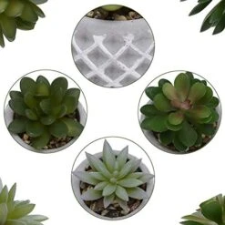 Succulent Decor, Fake Succulents, Succulent Wall Decor, Succulents Artificial Decor, Small Fake Plant, Succulent Decoration, Potted Plants, Set Of 3 Succulents -Organic Plant Shop 51rCmn8CioL