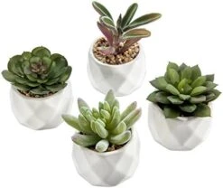 MyGift Miniature Artificial Succulents, Indoor Fake House Plants In Round White Geometric Ceramic Pots, Set Of 4 -Organic Plant Shop 51rCowEeU1L. AC