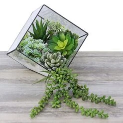 Winlyn 6 Pcs Unpotted Fake Succulents Assorted Faux Succulent In Different Green Artificial Hanging Succulents Textured Faux Succulent Pick Hanging String Of Pearls Plant For Wedding Centerpieces 10 Winlyn 6 Pcs Unpotted Fake Succulents Assorted Faux Succulent In Different Green Artificial Hanging Succulents Textured Faux Succulent Pick Hanging String Of Pearls Plant For Wedding Centerpieces -Organic Plant Shop 51rW3on6QNL