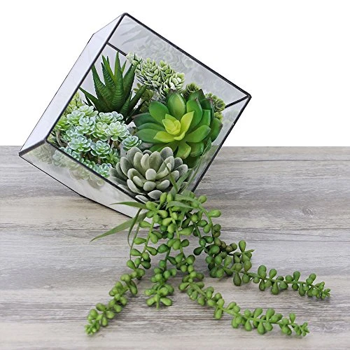 Winlyn 6 Pcs Unpotted Fake Succulents Assorted Faux Succulent In Different Green Artificial Hanging Succulents Textured Faux Succulent Pick Hanging String Of Pearls Plant For Wedding Centerpieces 5 Winlyn 6 Pcs Unpotted Fake Succulents Assorted Faux Succulent In Different Green Artificial Hanging Succulents Textured Faux Succulent Pick Hanging String Of Pearls Plant For Wedding Centerpieces - Image 5