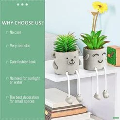 Natheeph 2 Pcs Succulents Plants Artificial Fake Plant Faux Succulents Hanging Leg With Cement Potted For Home Office Desk Bedroom Bookshelf Greenery Decoration (Smile & Bear) -Organic Plant Shop 51sGRIpHPzL