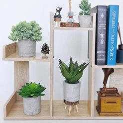 Winlyn Set Of 3 Artificial Potted Succulents Plants In Rustic Wood Tray Succulents Arrangement For Farmhouse Table Centerpiece Desk Windowsill Shelf Counter Home Bathroom Kitchen Office Country Decor -Organic Plant Shop 51sLAkY7X8L