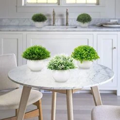 Summer Flower 5 Pack Mini Artificial Plants In Ceramics Pots For Bathroom Home Decor Indoor, 2 Fake Mini Plant Green Boxwood Potted,3 Grass Faux Plant In White Pot For Bookshelf Farmhouse Decorations -Organic Plant Shop 51t7uFKdC6L