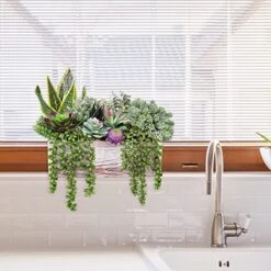 14 Pcs Assorted Artificial Succulents Fake Plants In Rectangular Wooden Pots Artificial Potted Succulents Plants Arrangement For Table Centerpiece Windowsill Shelf Mantel Tropical Greenery Decor -Organic Plant Shop 51tMbh2LS9L