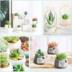 Happyhapi 12 Pcs Artificial Succulents Mini Fake Plants Unpotted Faux Succulent For Craft, Small Plastic Succulents Assortment In Flocked Green Floral Decor For Party, Cake, Garden & Outdoor -Organic Plant Shop 51tPUEnE0wL
