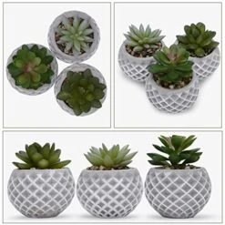 Succulent Decor, Fake Succulents, Succulent Wall Decor, Succulents Artificial Decor, Small Fake Plant, Succulent Decoration, Potted Plants, Set Of 3 Succulents -Organic Plant Shop 51tb0JTxssL