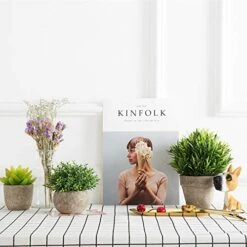 Velener 2Pcs Mini Artificial Boxwood Topiary Faux Plants Indoor- Small Fake Plants Decor Magnolia Home Office Desk Cubicle Farmhouse Kitchen Bookshelf Bedroom Bathroom Decor, Aloe Vera Zen Garden -Organic Plant Shop 51tpxYtzUwL