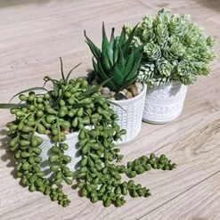 Set Of 3 Assorted Small Potted Succulent Plants Fake Aloe String Of Pearls Hops Succulents In Gray Geometric Concrete Ceramic Pots For Gifts Modern Home Office Desk Table Indoor Outdoor Greenery Decor -Organic Plant Shop 51ttw9Lc6zL