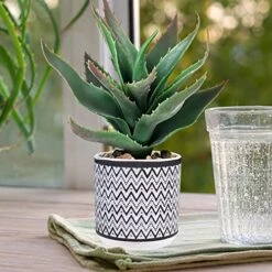 Set Of 3 Assorted Small Potted Plants Fake Eucalyptus Boxwood Plants Aloe Succulent Plant In Black And White Geometric Pots For Table Centerpiece Windowsill Shelf Indoor Outdoor Garden Greenery Decor -Organic Plant Shop 51u4xD2LDsL
