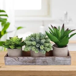 Winlyn Set Of 3 Artificial Potted Succulents Plants In Rustic Wood Tray Succulents Arrangement For Farmhouse Table Centerpiece Desk Windowsill Shelf Counter Home Bathroom Kitchen Office Country Decor -Organic Plant Shop 51u6pGL3NRL