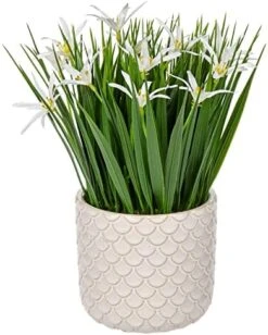 Briful Small Artificial Grass Plant Decor Wheat Fake Plant With Flowers In Ceramic Pot Real Touch Potted Greenery Faux Plant For Kitchen Countertop Tabletop Bookshelf Coffee Decorations -Organic Plant Shop 51u9cnrqoLL. AC
