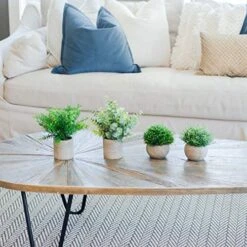 GreenCallow Artificial Plants For Home Decor Indoor. 4 Mini Plants, Rosemary Faux Plant Decor, Eucalyptus Plant, Grass Faux Plants. Small Fake Plants For Shelf Or Desk Plant Artificial Greenery Décor -Organic Plant Shop 51uRbzYtRNL