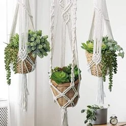 Winlyn 19 Pcs Assorted Artificial Succulents Plants Unpotted Small Green Aloe Hops Cactus String Of Pearls Picks Fake Succulents Bulk For Succulent Garden Floral Arrangement Indoor Outdoor Home Decor -Organic Plant Shop 51uSpP4307L