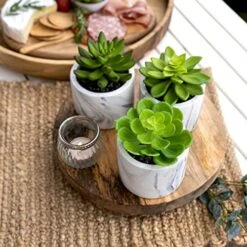 Kurrajong Farmhouse Artificial Succulent Plants In Pots | Mini Fake Plant For Shelves | Artificial Plants For Home Decor Indoor | Succulent Plants Artificial | Mini Plant Decor | Small Faux Plants -Organic Plant Shop 51uo3XIjv6L