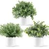 Mkono Fake Plants In Ceramic Pot, 3 Pack Potted Artificial Eucalyptus Plants For Home Decor Indoor Faux Green Rosemary For Desk Shelf Coffee Centerpiece Bathroom Office Decor