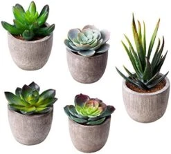 Jelofly Fake Plants Artificial Succulent Plants Assorted Decorative Faux Succulent Potted Fake Cactus Cacti Plants Gray Pots, Set Of 5 -Organic Plant Shop 51uyonDcaiL. AC