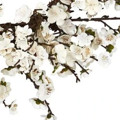 Nearly Natural 4191 24" Plum Blossom Wreath White -Organic Plant Shop 51wqONyF6rL