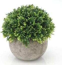 Velener 2Pcs Mini Artificial Boxwood Topiary Faux Plants Indoor- Small Fake Plants Decor Magnolia Home Office Desk Cubicle Farmhouse Kitchen Bookshelf Bedroom Bathroom Decor, Aloe Vera Zen Garden -Organic Plant Shop 51wyXjOJgJL. AC