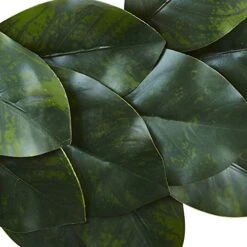 Nearly Natural Magnolia Leaf Wreath, 24", Green -Organic Plant Shop 51yaRe0q57L