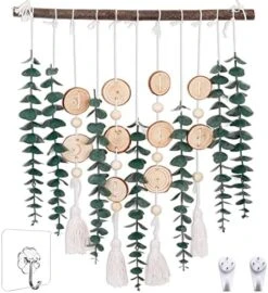 HYUZO Hanging Eucalyptus Boho Wall Decor Large Bedroom Eucalyptus Garland Artificial Eucalyptus Greenery Farmhouse Rustic Wall Hanging Fake Plants Leaves 5.6 Feet For Bathroom Living Room Decorations -Organic Plant Shop 51yfQm0U5QL. AC