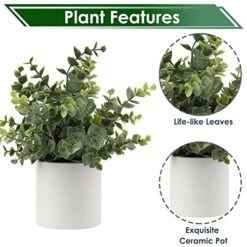Briful Mini Fake Plants Set Of 2 Small Faux Plant Eucalyptus Rosemary Greenery Potted Plants Artificial Decor For Home Table Office Room Desk Bathroom Shelf Kitchen Farmhouse Mantel Decoration -Organic Plant Shop 51yquZuBuSL